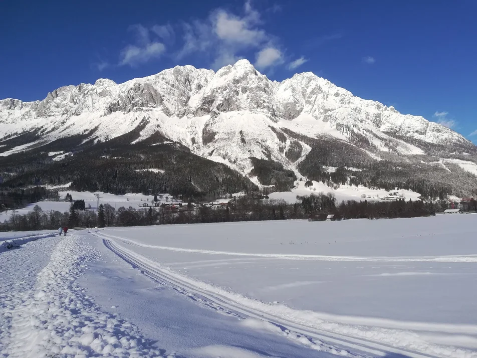 Xc Trail Blarn Nieder Blarn Tours In Schladming Dachstein